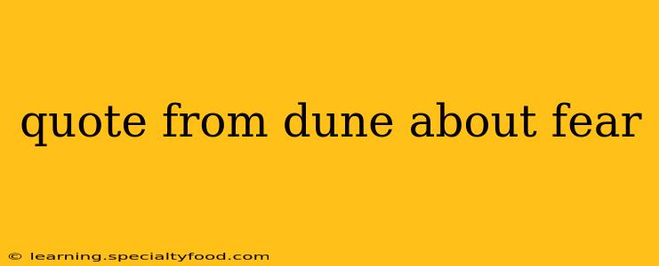 quote from dune about fear
