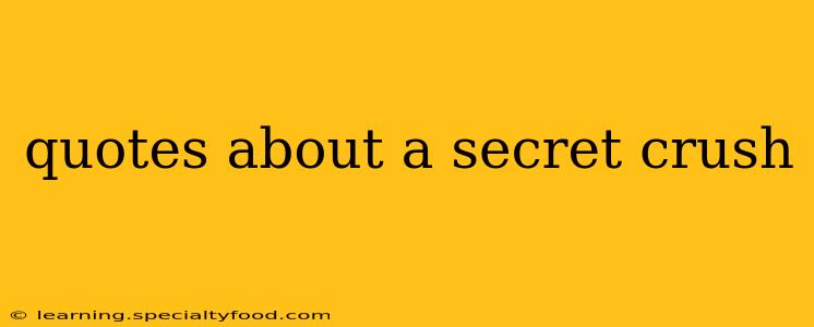 quotes about a secret crush