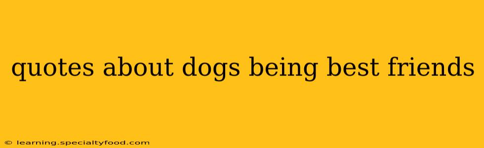 quotes about dogs being best friends