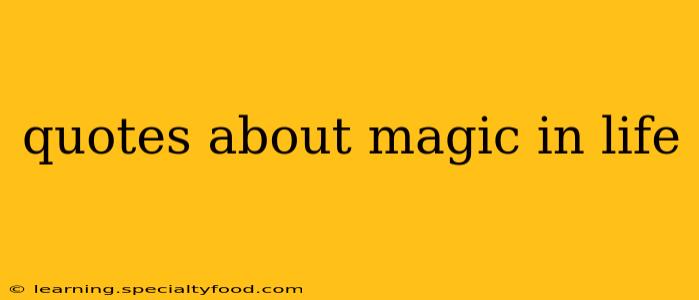 quotes about magic in life