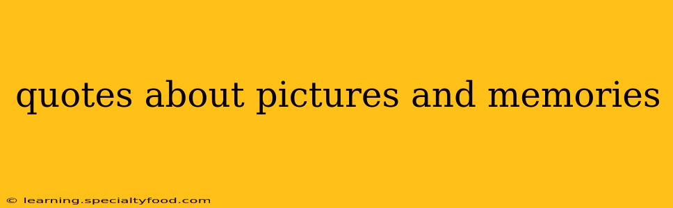 quotes about pictures and memories