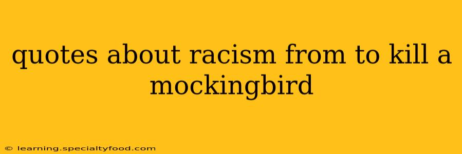 quotes about racism from to kill a mockingbird