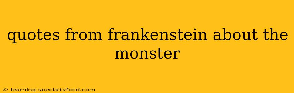 quotes from frankenstein about the monster