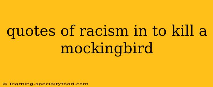 quotes of racism in to kill a mockingbird
