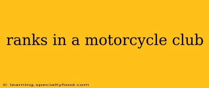 ranks in a motorcycle club