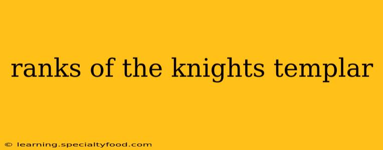 ranks of the knights templar