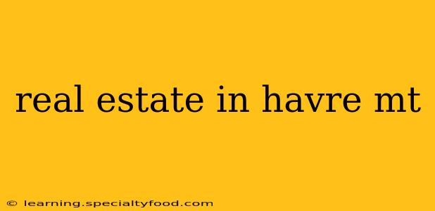 real estate in havre mt