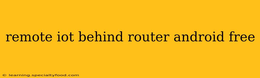 remote iot behind router android free