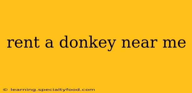 rent a donkey near me