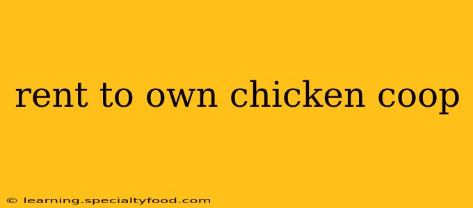 rent to own chicken coop