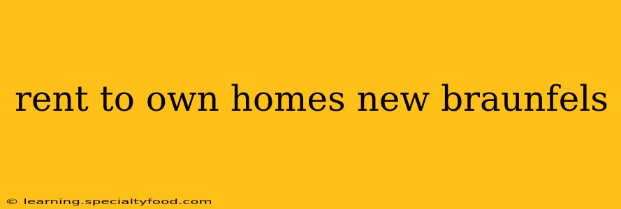 rent to own homes new braunfels
