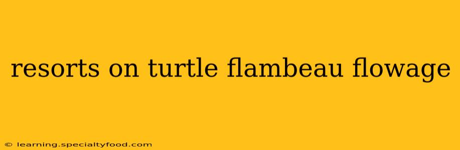 resorts on turtle flambeau flowage