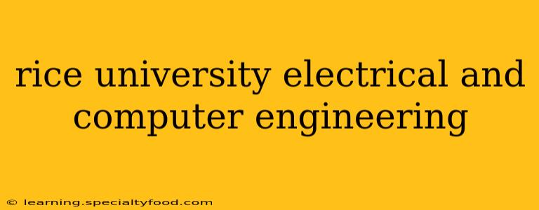 rice university electrical and computer engineering