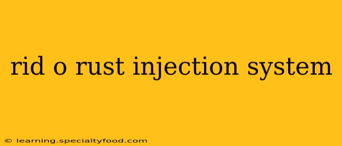 rid o rust injection system