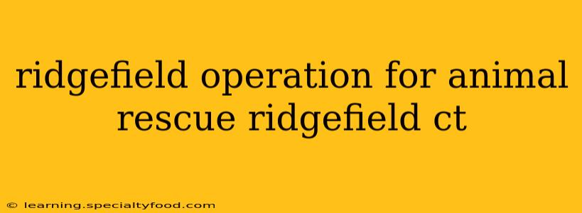 ridgefield operation for animal rescue ridgefield ct