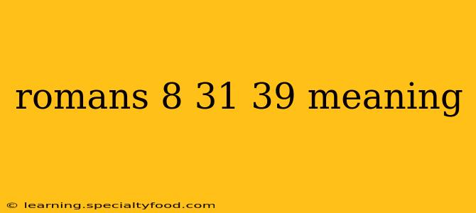 romans 8 31 39 meaning