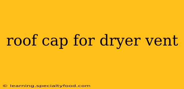 roof cap for dryer vent