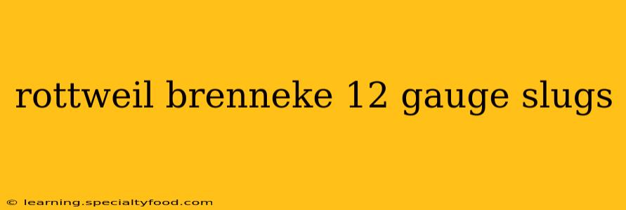 rottweil brenneke 12 gauge slugs