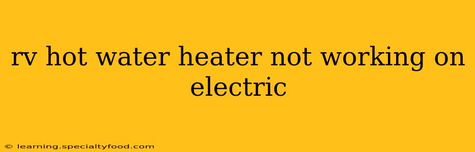 rv hot water heater not working on electric