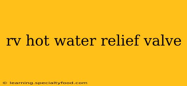 rv hot water relief valve
