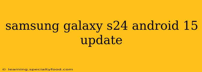 samsung galaxy s24 android 15 update