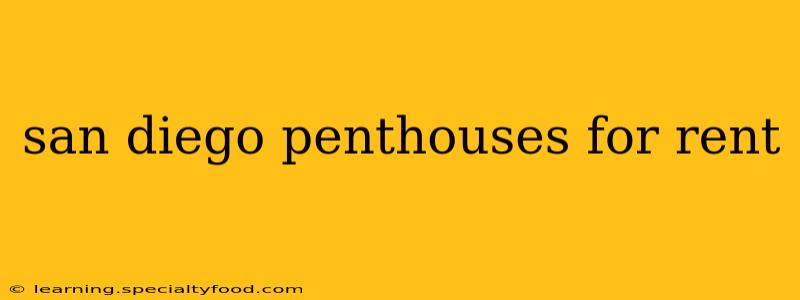 san diego penthouses for rent