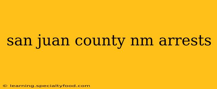 san juan county nm arrests