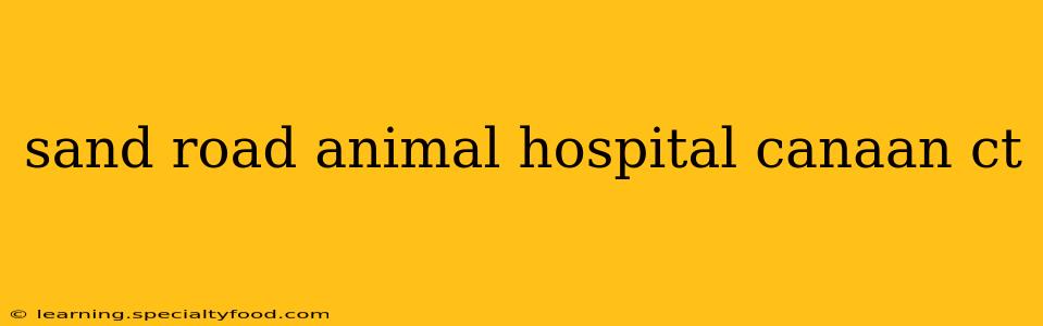 sand road animal hospital canaan ct
