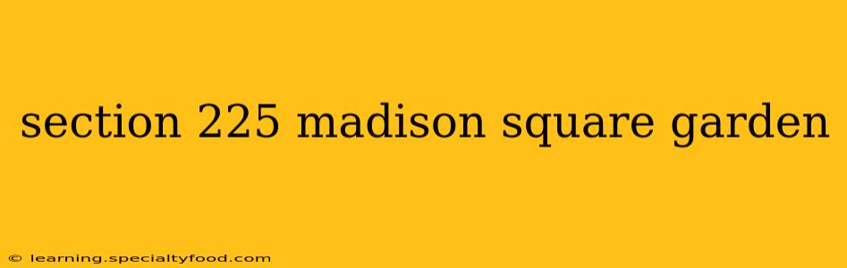 section 225 madison square garden