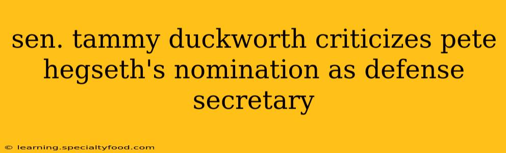 sen. tammy duckworth criticizes pete hegseth's nomination as defense secretary