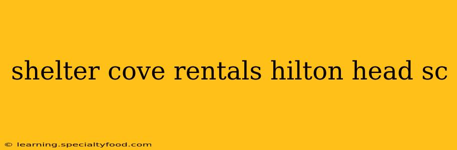 shelter cove rentals hilton head sc