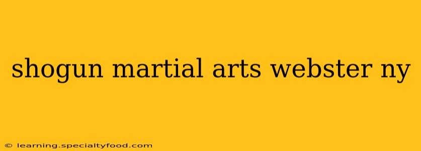 shogun martial arts webster ny