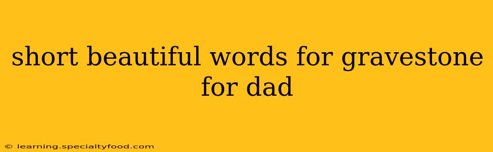 short beautiful words for gravestone for dad