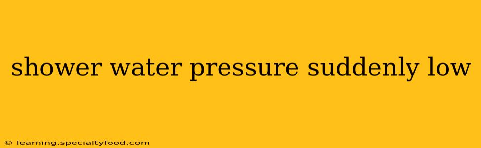 shower water pressure suddenly low