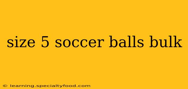 size 5 soccer balls bulk