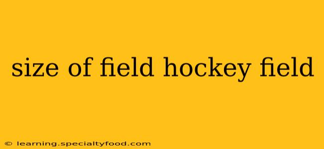 size of field hockey field