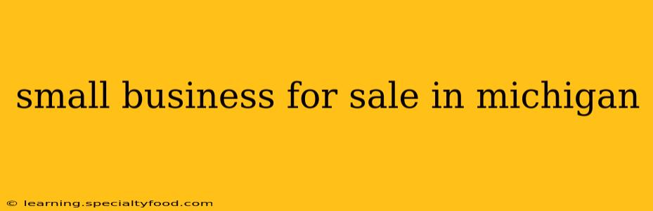 small business for sale in michigan