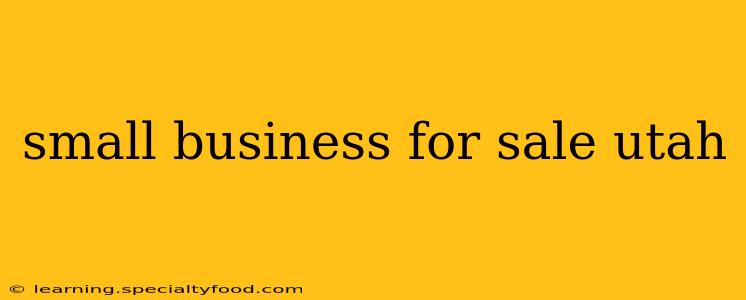small business for sale utah