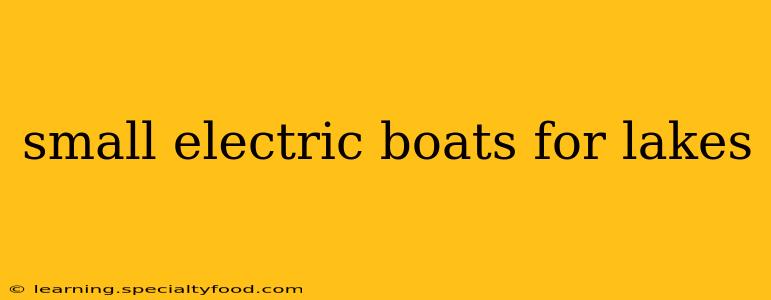 small electric boats for lakes