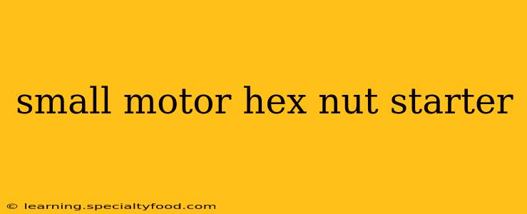 small motor hex nut starter