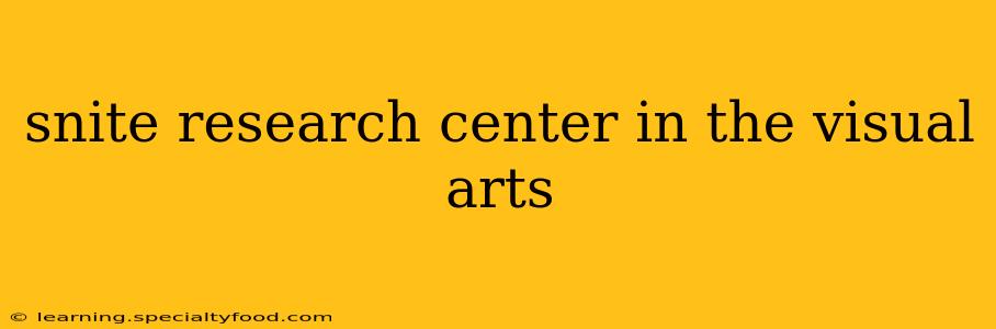 snite research center in the visual arts