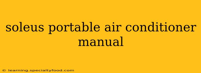 soleus portable air conditioner manual