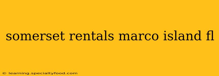 somerset rentals marco island fl