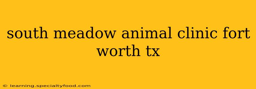 south meadow animal clinic fort worth tx