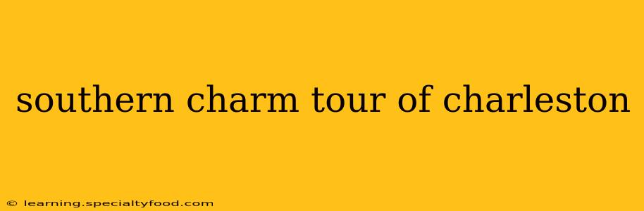 southern charm tour of charleston