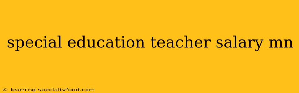 special education teacher salary mn