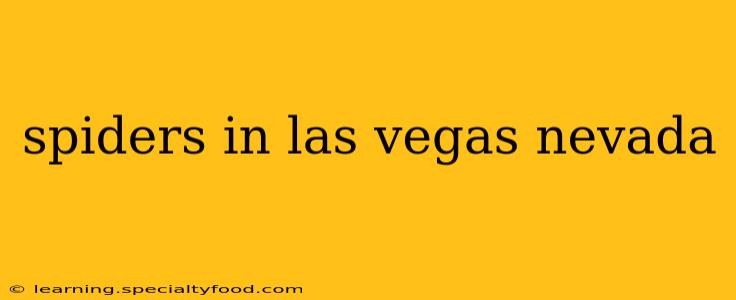 spiders in las vegas nevada