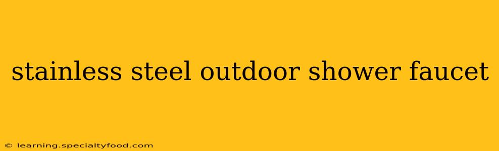 stainless steel outdoor shower faucet