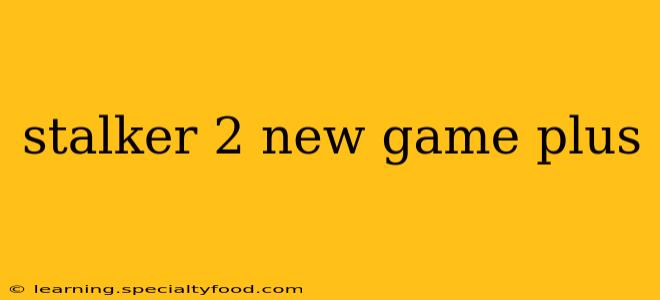 stalker 2 new game plus