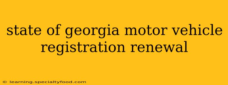 state of georgia motor vehicle registration renewal